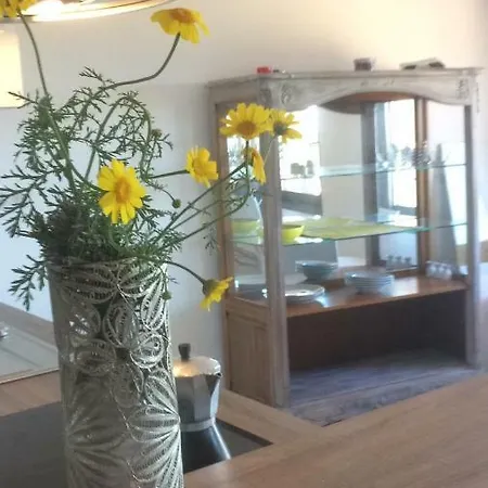 Corse - Lumio, Balagne Petite Maison Loft, Vue Imprenable Sur Le Golfe De Calvi * Lumio