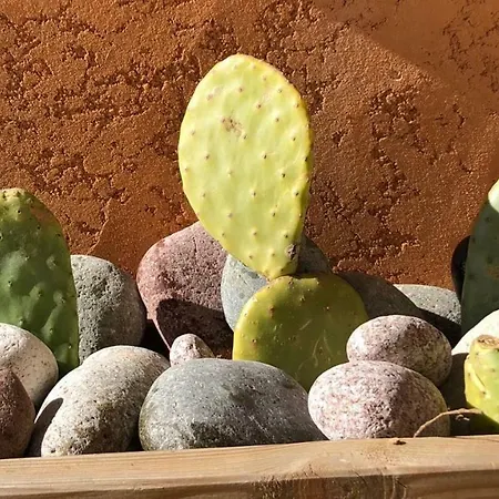 Corse - Lumio, Balagne Petite Maison Loft, Vue Imprenable Sur Le Golfe De Calvi Apartament *