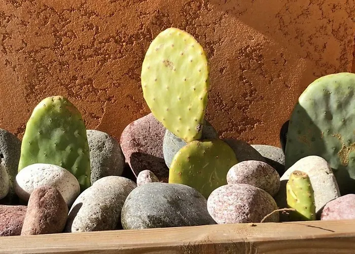 Corse - Lumio, Balagne Petite Maison Loft, Vue Imprenable Sur Le Golfe De Calvi Appartement *